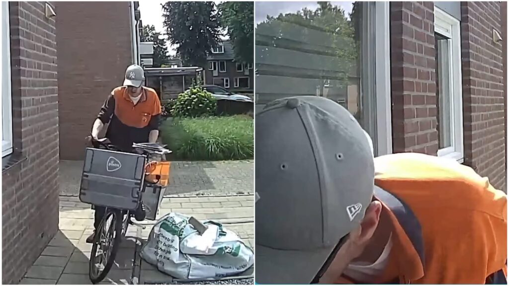 - Dagelijkse Feitjes