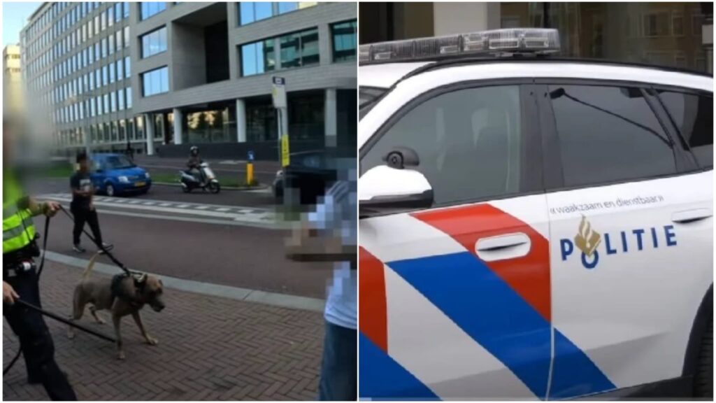 - Vrouwen Feitjes