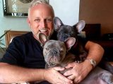 Gordon heeft afstand gedaan van zijn hondjes: Toto en Rocco gedumpt in asiel!