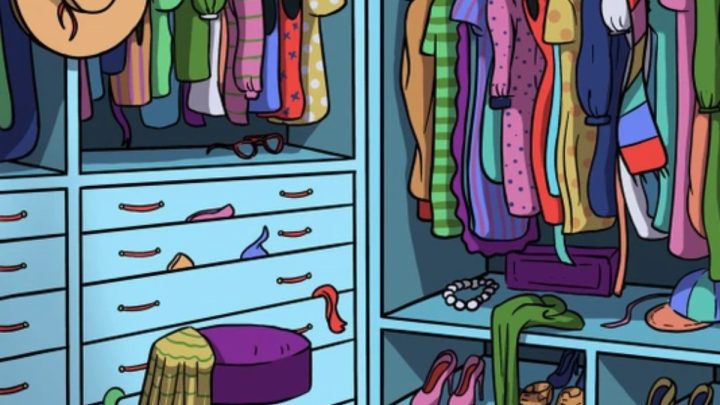 De kat heeft zich verstopt in de walk in closet: Lukt het jou om hem op te sporen?