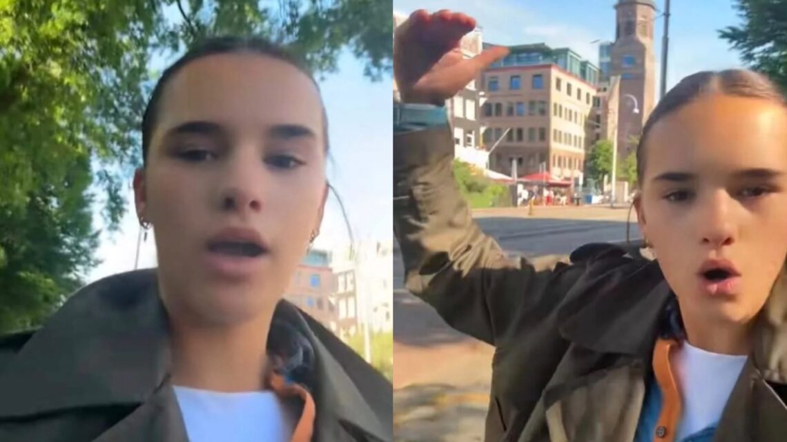 Boos meisje (16) waarschuwt leeftijdsgenoten: ‘Ga niet bij de Albert Heijn werken!’ Boos meisje (16) waarschuwt leeftijdsgenoten: ‘Ga niet bij de Albert Heijn werken!’