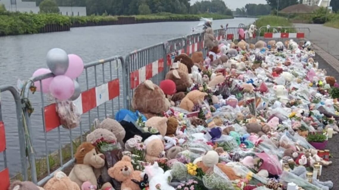 Knuffeldieven vandaag op vrije voeten: Openbaar Ministerie gaat snelrecht toepassen! Knuffeldieven vandaag op vrije voeten: Openbaar Ministerie gaat snelrecht toepassen!