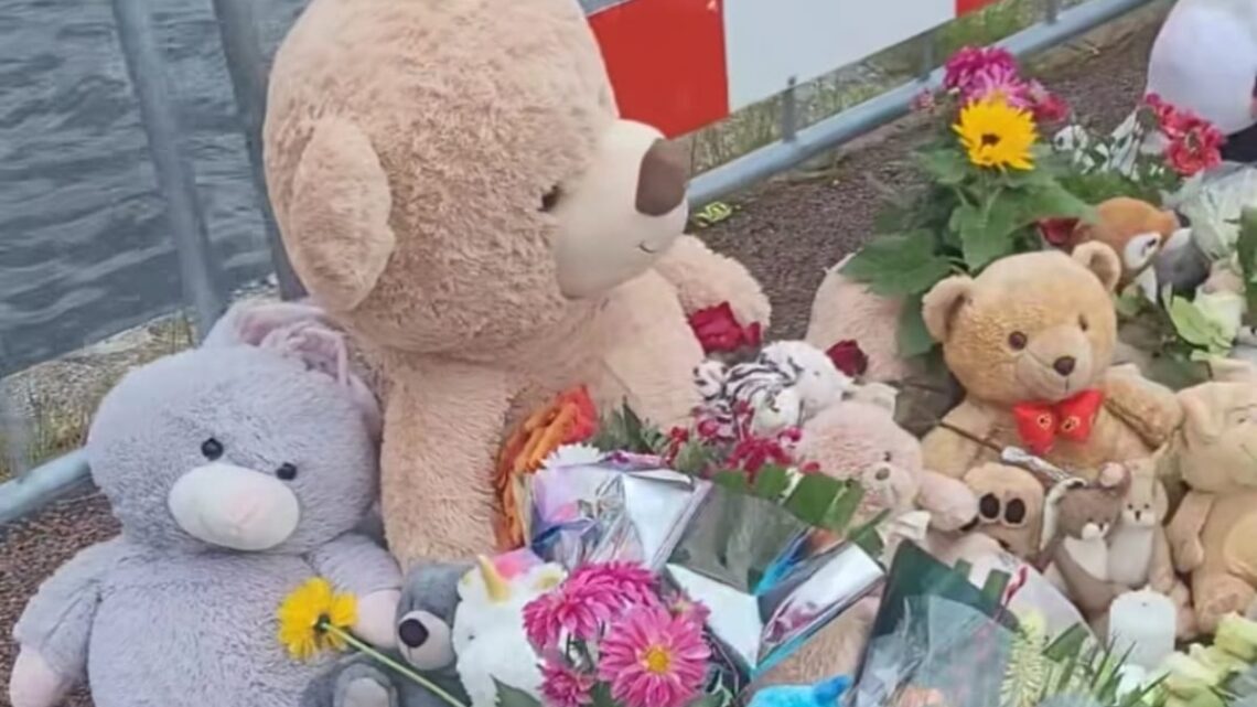 Syrische gemeenschap over knuffeldiefstal: ‘Niet iedereen over één kam scheren!’ Syrische gemeenschap over knuffeldiefstal: ‘Niet iedereen over één kam scheren!’