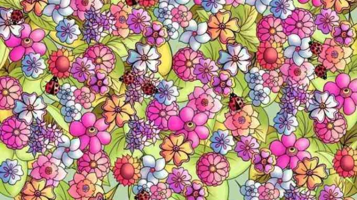 Het is lente: Lukt het jou om de verborgen vlinder te ontdekken in het bloemenveld Het is lente: Lukt het jou om de verborgen vlinder te ontdekken in het bloemenveld