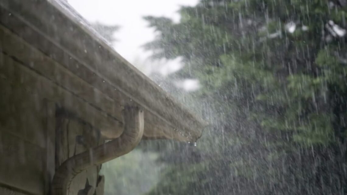 Allesbehalve saai weer op komst: Pittige regen en onweersbuien! Allesbehalve saai weer op komst: Pittige regen en onweersbuien!