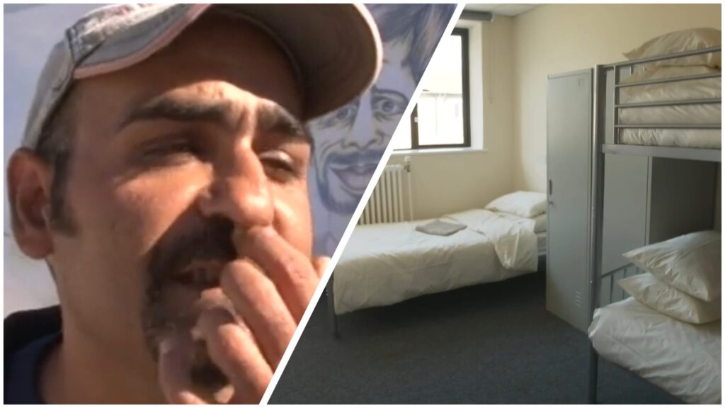 - Dagelijkse Feitjes