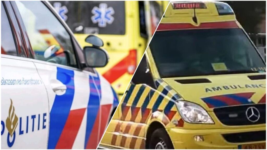 - Dagelijkse Feitjes