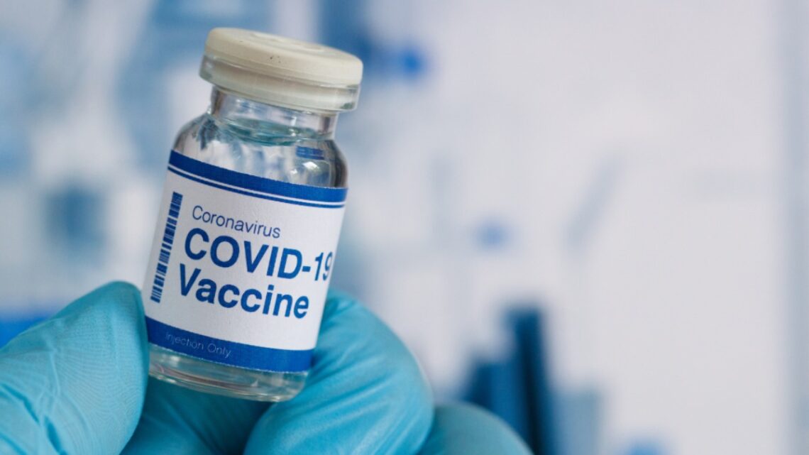 Nieuw coronavirus ontdekt: ‘Een stap verwijderd van volgende pandemie’ Nieuw coronavirus ontdekt: ‘Een stap verwijderd van volgende pandemie’