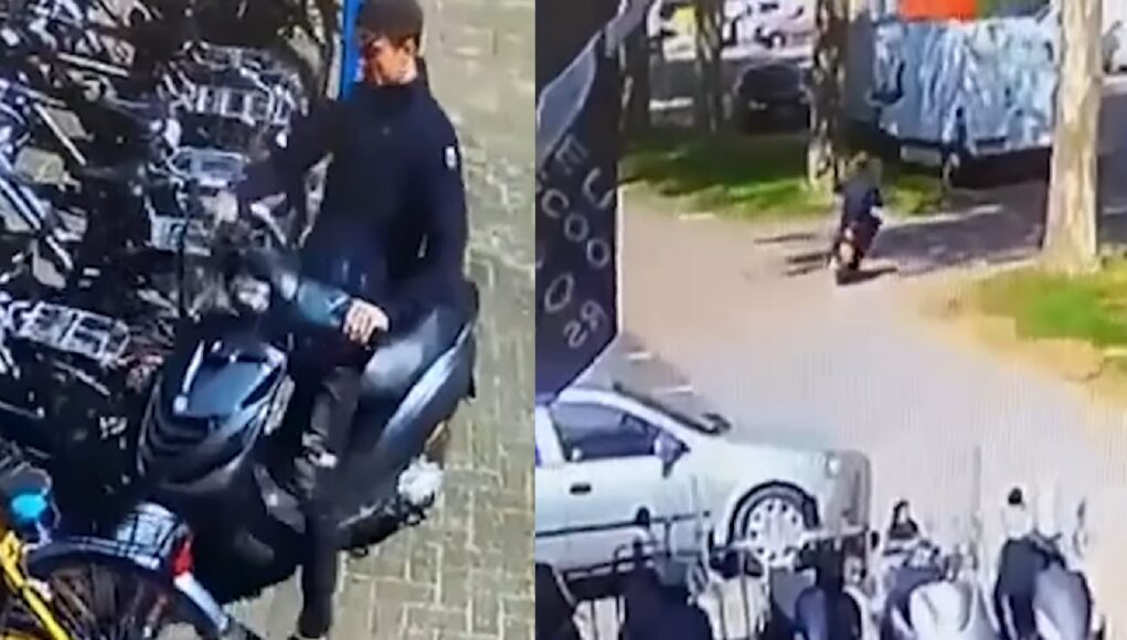 - Dagelijkse Feitjes