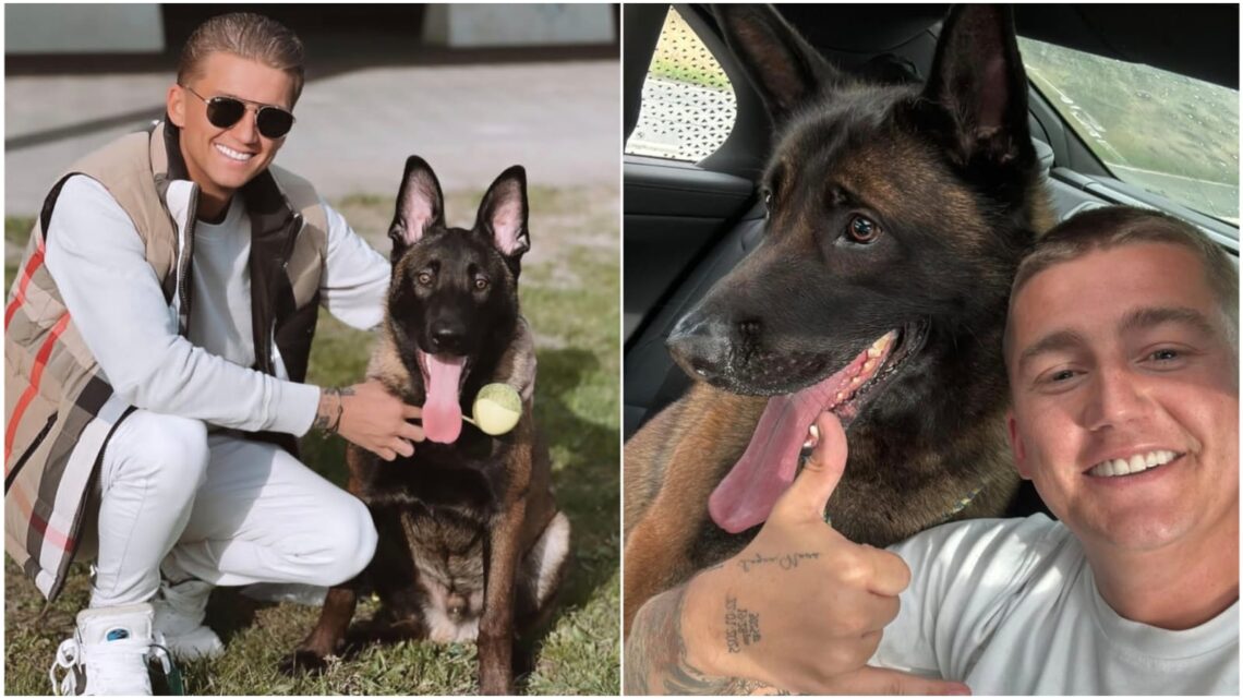 Mart onthult hoe en waar zijn hond Ciro werd gevonden: ‘Het leek wel een film’ Mart onthult hoe en waar zijn hond Ciro werd gevonden: ‘Het leek wel een film’