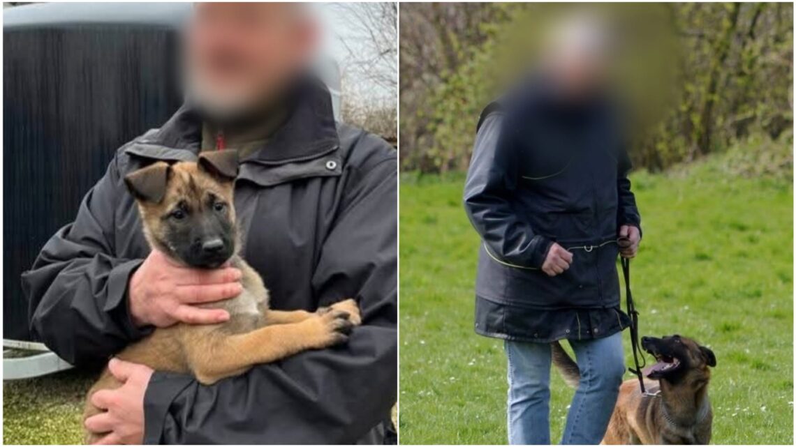 Confrontatie met Alberto Stegeman doet hondentrainer Rob van O. niet stoppen! Confrontatie met Alberto Stegeman doet hondentrainer Rob van O. niet stoppen!