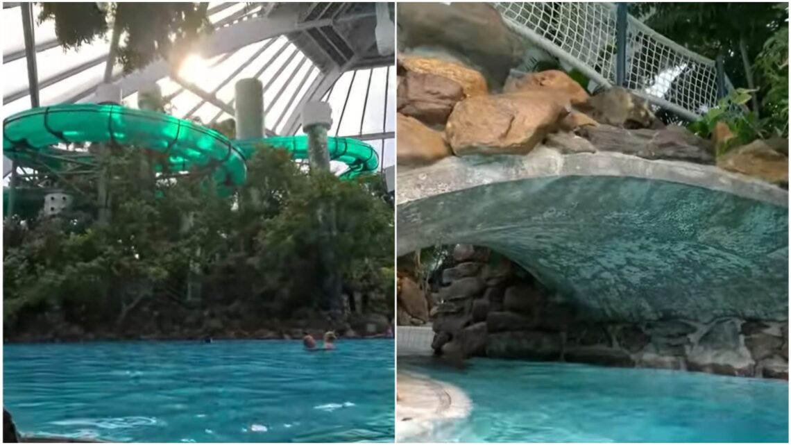 Toppunt van smerigheid: Let goed op bij het zwembad van dit Center Parcs park! Toppunt van smerigheid: Let goed op bij het zwembad van dit Center Parcs park!
