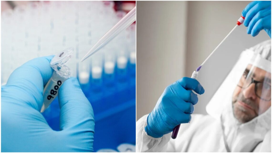 Nieuw virus opgedoken: Inmiddels in 16 landen al sprake van besmettingen! Nieuw virus opgedoken: Inmiddels in 16 landen al sprake van besmettingen!