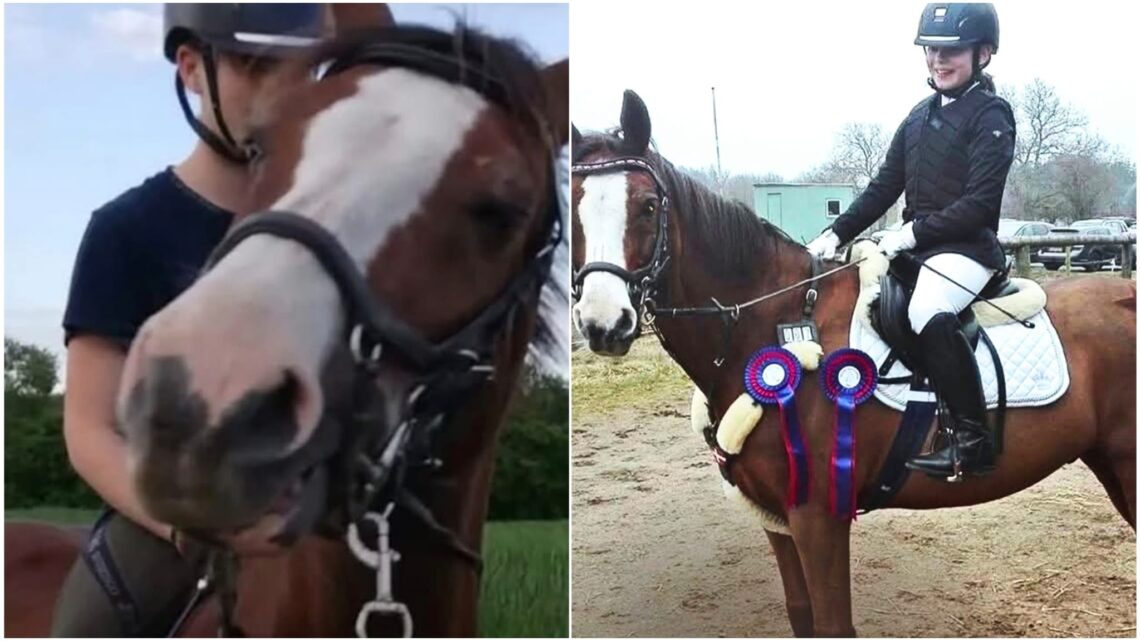 Deense moeder doneert pony van dochter aan dierentuin: ‘Voer voor de leeuwen’ Deense moeder doneert pony van dochter aan dierentuin: ‘Voer voor de leeuwen’