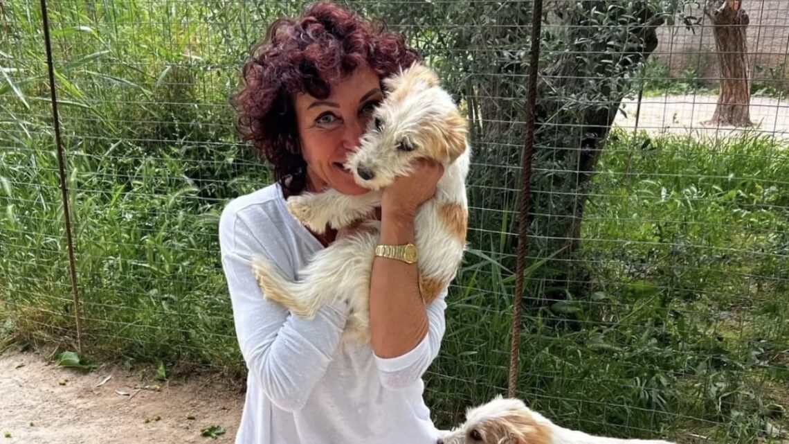 BenB Vol Liefde Ingrid reageert op haat: ‘Dit moet gewoon stoppen!’ BenB Vol Liefde Ingrid reageert op haat: ‘Dit moet gewoon stoppen!’