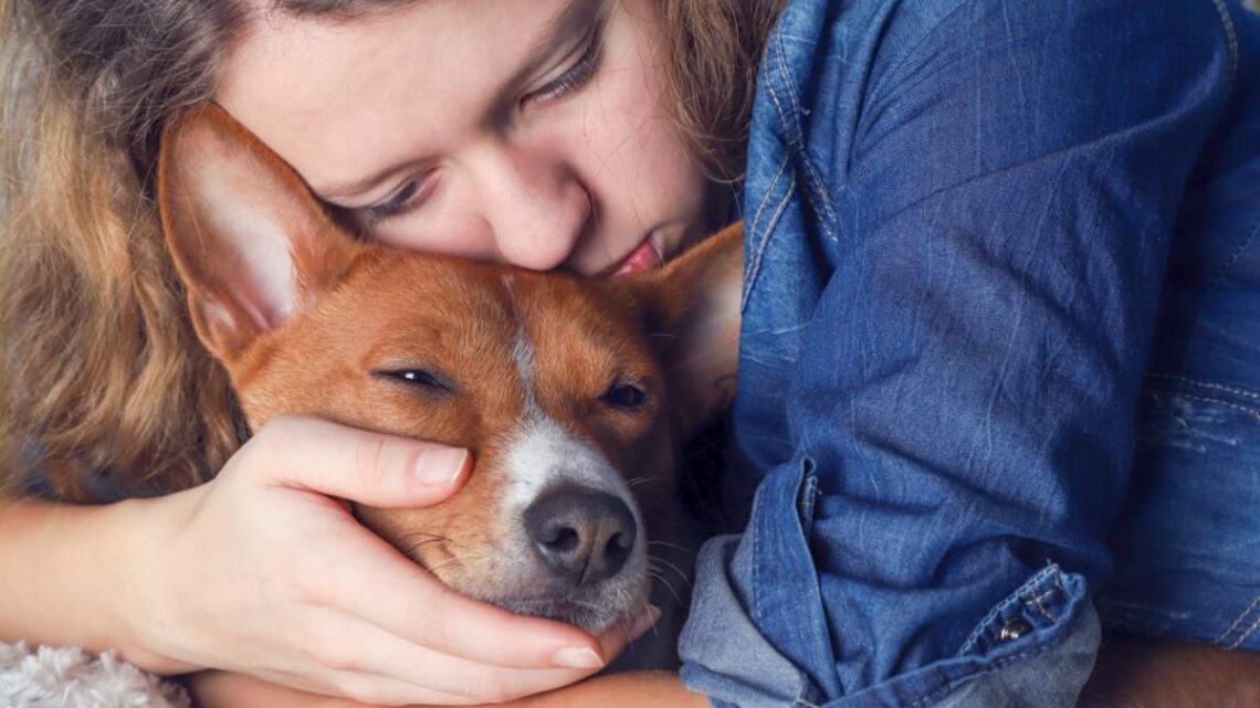 De 11 meest voorkomende en onverwachte signalen dat je hond in de laatste levensfase zit. De 11 meest voorkomende en onverwachte signalen dat je hond in de laatste levensfase zit.