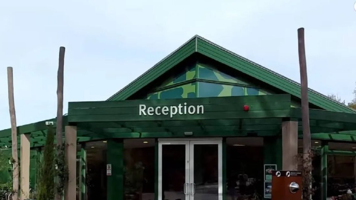 Israëlische toeristen mishandeld in Center Parcs: ‘Op gewelddadige wijze aangevallen’ Israëlische toeristen mishandeld in Center Parcs: ‘Op gewelddadige wijze aangevallen’
